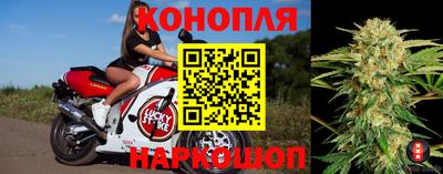 скорость Дубна
