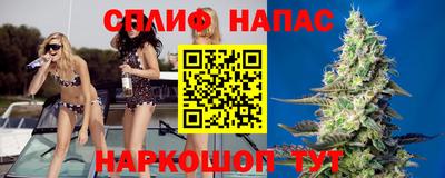 скорость Дубна