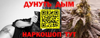 скорость Дубна