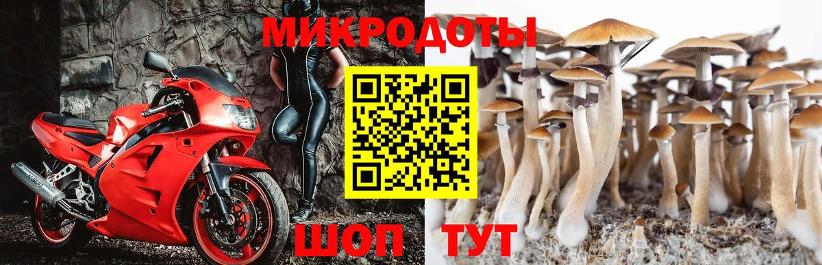Галлюциногенные грибы Psilocybe  Псилоцибиновые грибы мицелий  Вход с VPN  Конаково 